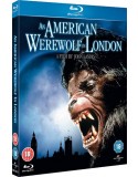 An American Werewolf In London