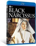 Black Narcissus