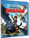 Blu-ray How To Train Your Dragon