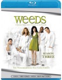 Weeds: Season 3